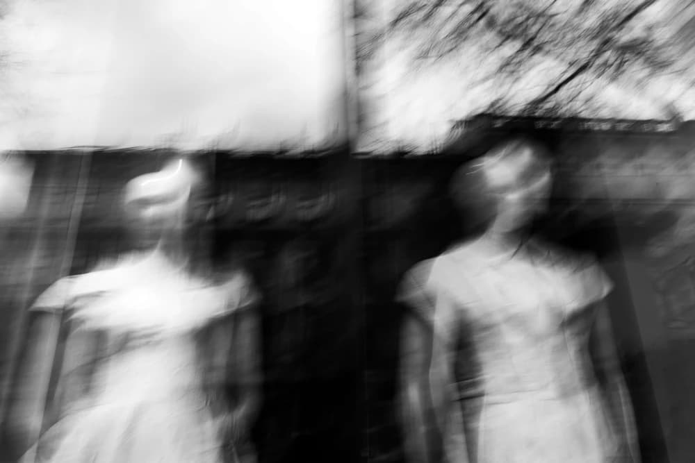 Photo by Lara Hauser