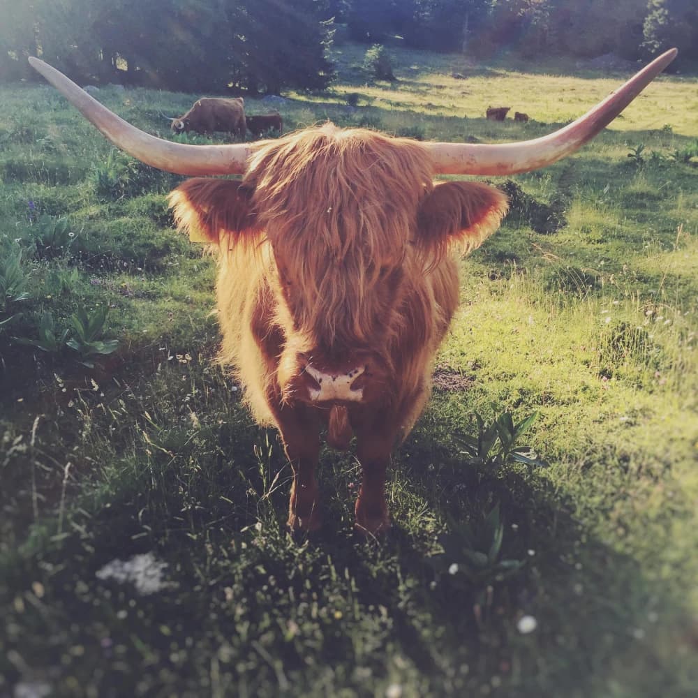 Photo by Igor Khromov