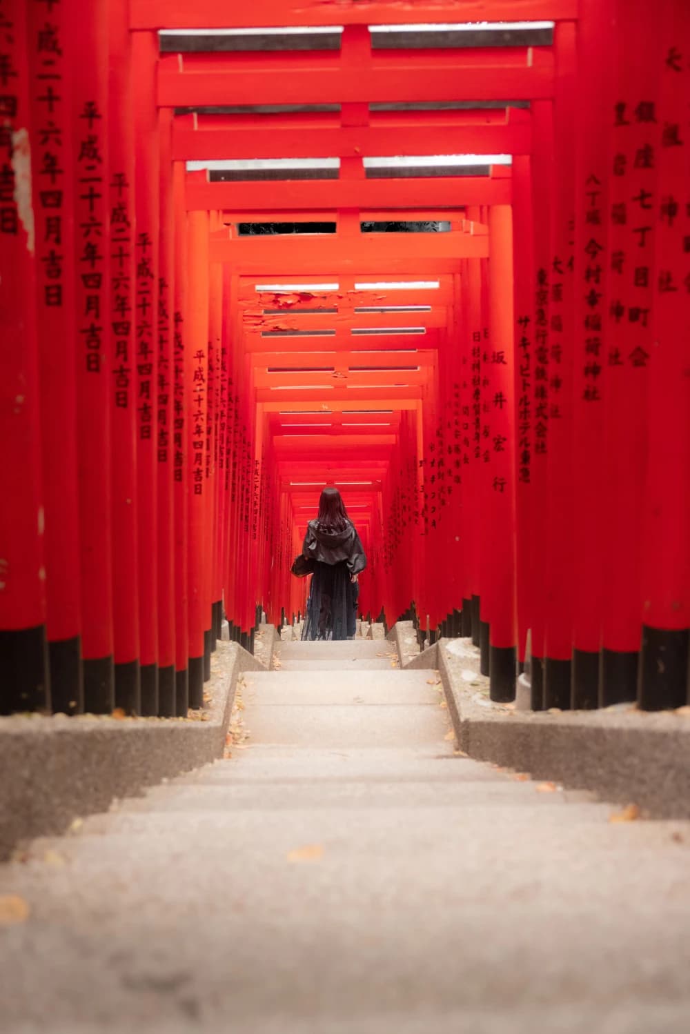 Photo by Frederik Dekkers