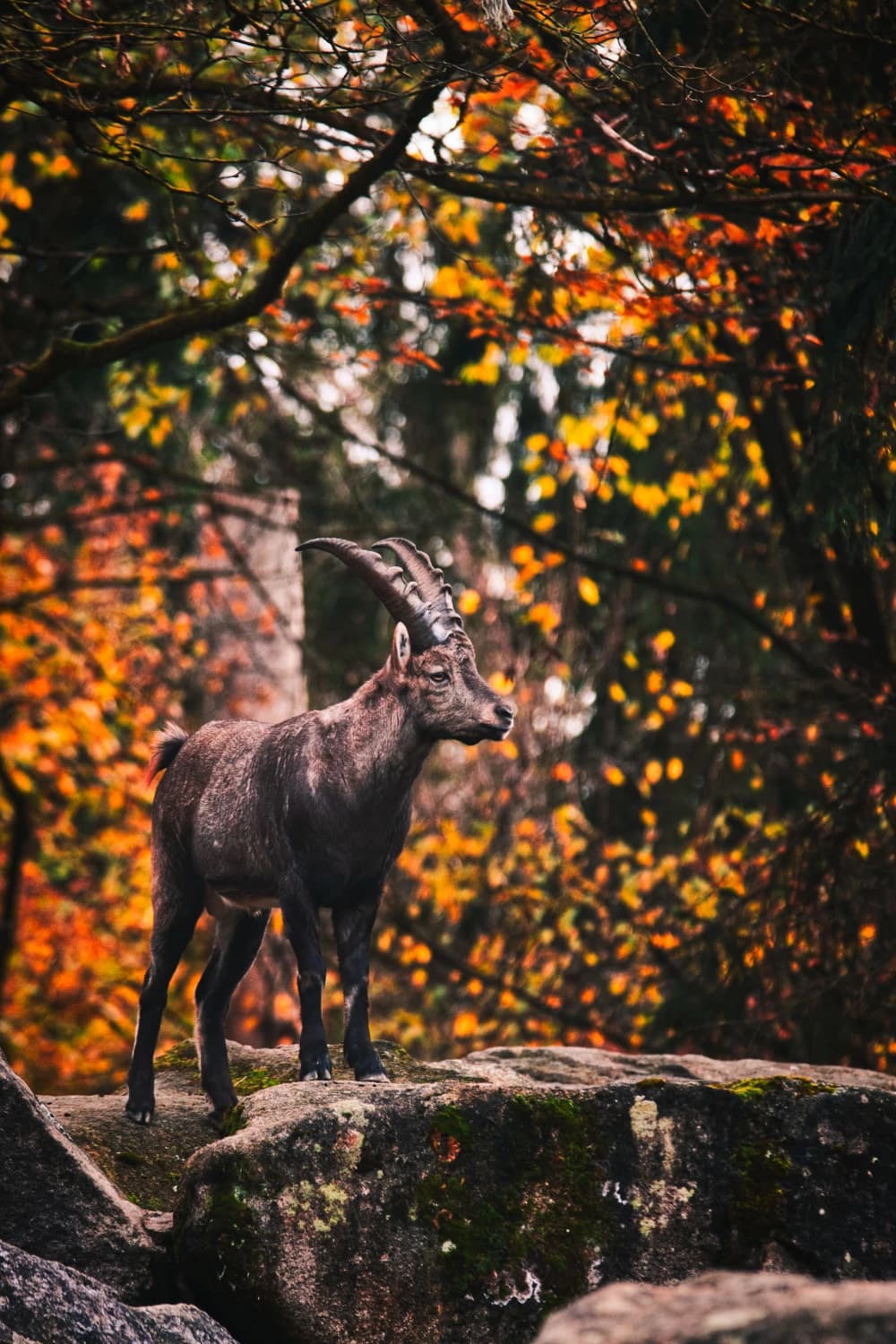 Photo by Frederik Dekkers