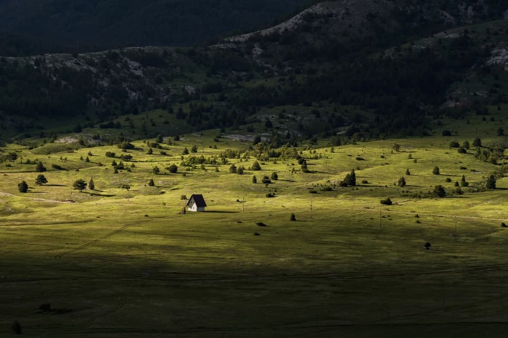 Photo by Manuel Rudel