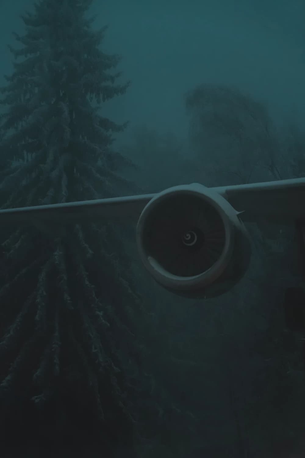 Photo by Manuel Rudel