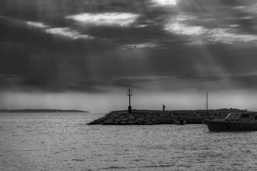 Photo by Manuel Rudel