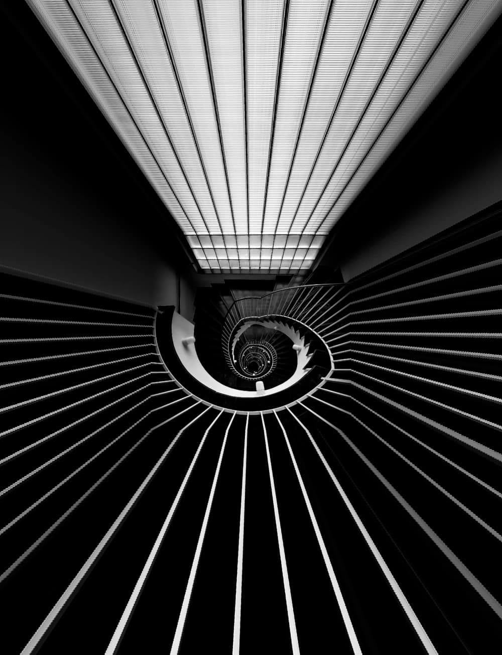 Featured photo by Matthias Dietrich