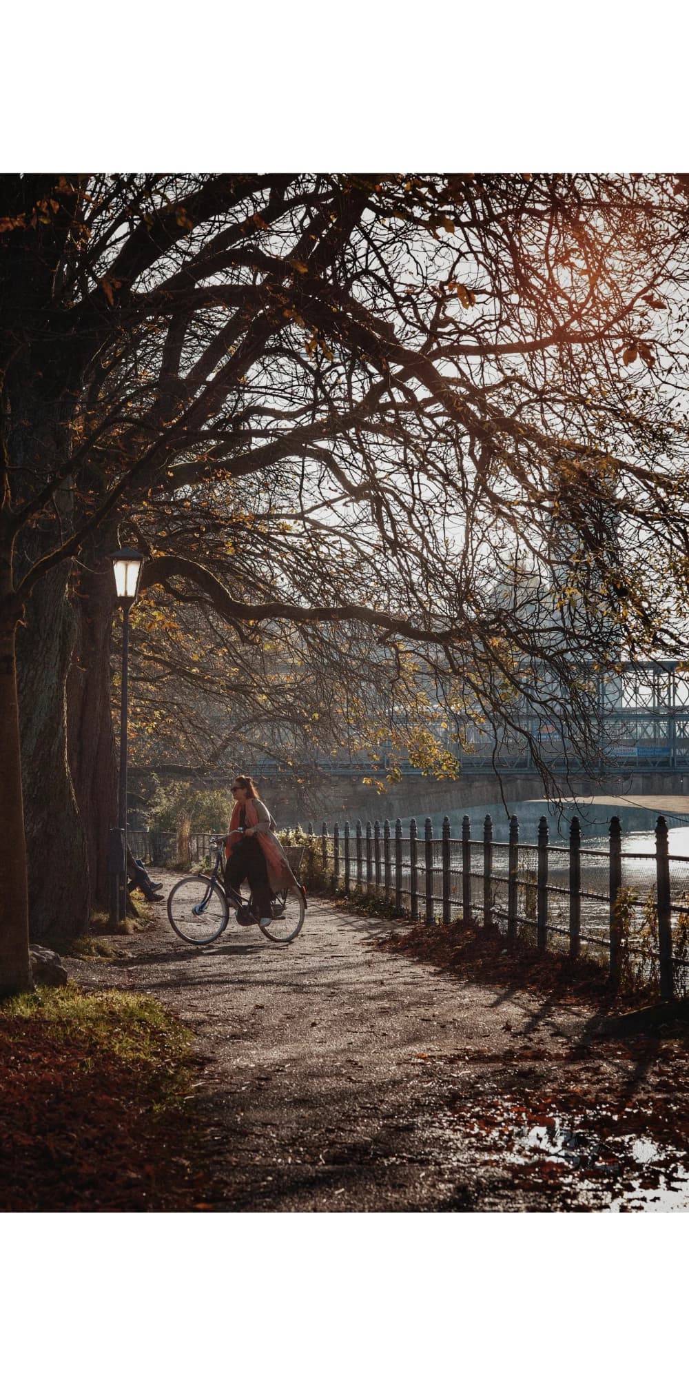 Photo by Michael Obstoj