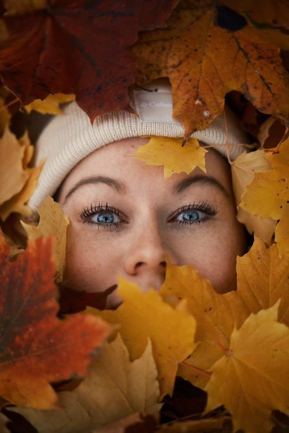 Photo by Michael Obstoj