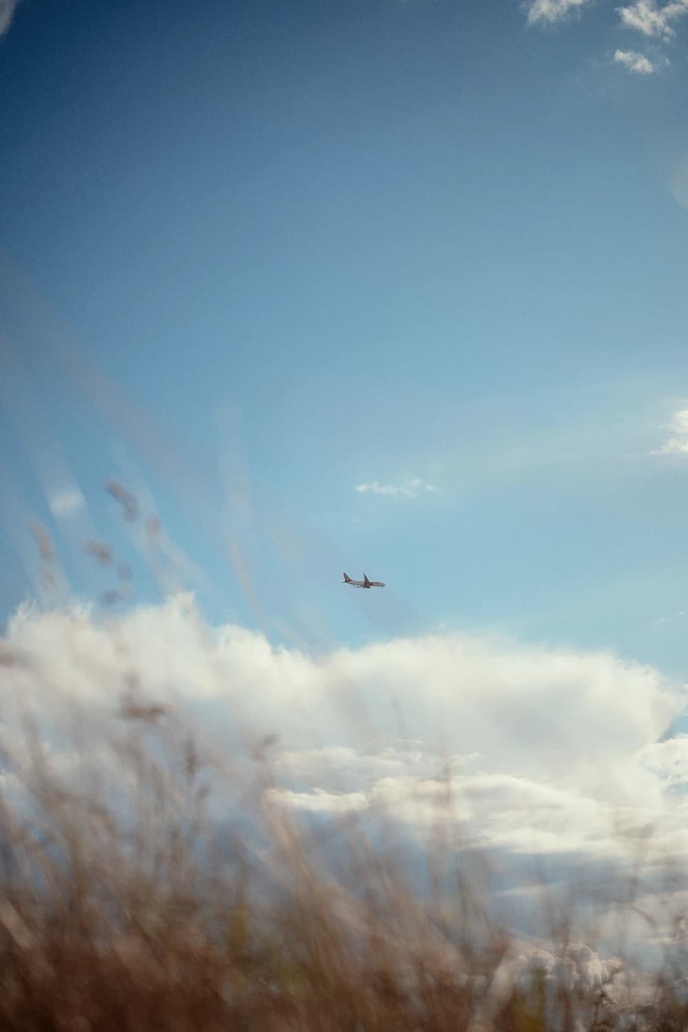 Photo by Michael Obstoj