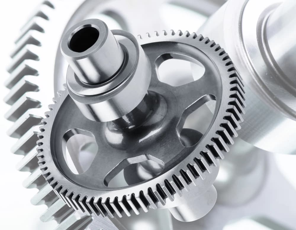 Photo by Leo Boesinger