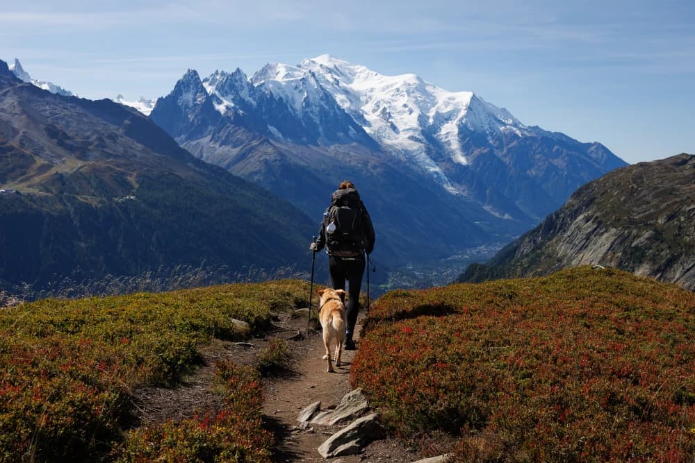 Photo by George Binder