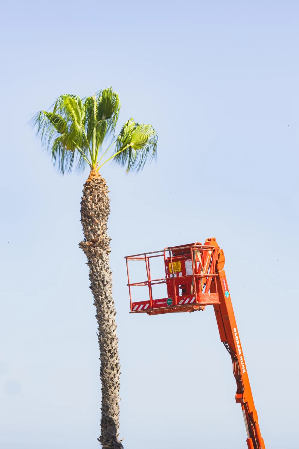 Photo by Leon Maria Plecity