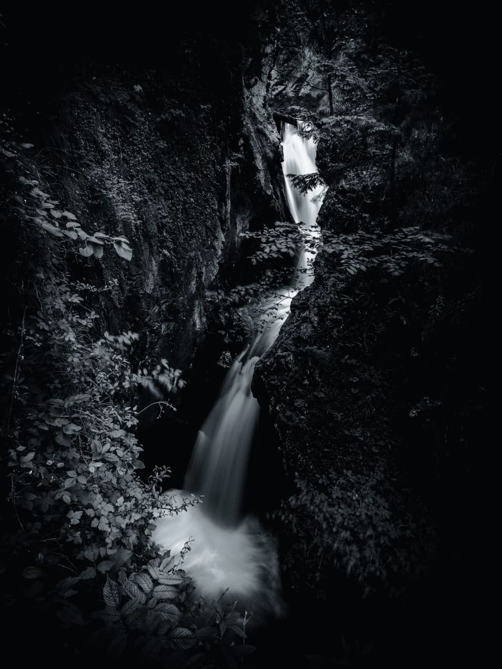 Photo by Dietmar Bachmann