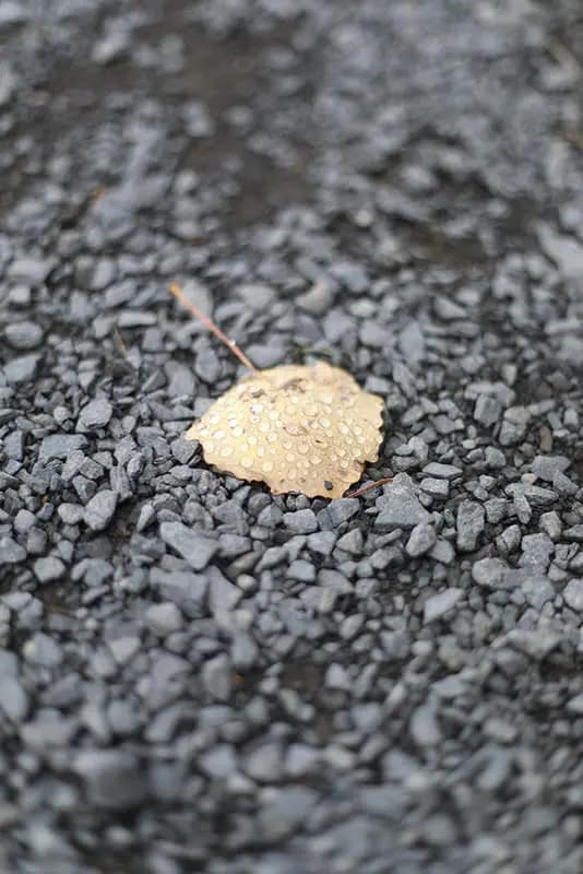 Photo by Sophie Schüler