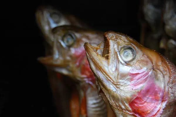 Photo by Sophie Schüler