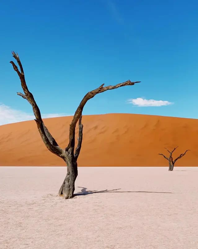 Photo by Daniel Heilig