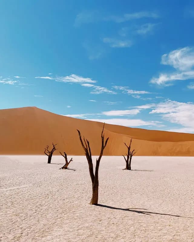 Photo by Daniel Heilig