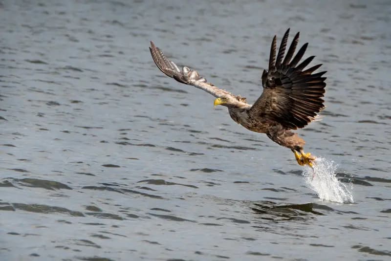 Photo by Gianmarco Cicuzza