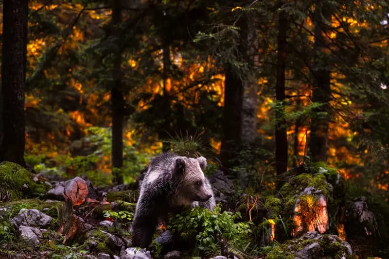 Photo by Gianmarco Cicuzza