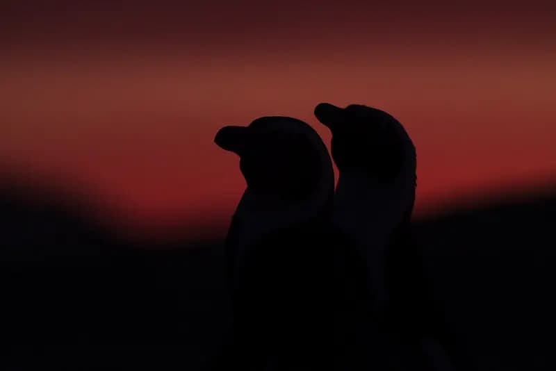 Photo by Gianmarco Cicuzza