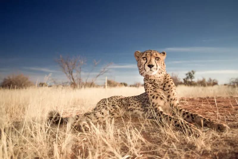 Photo by Julia Wimmerlin