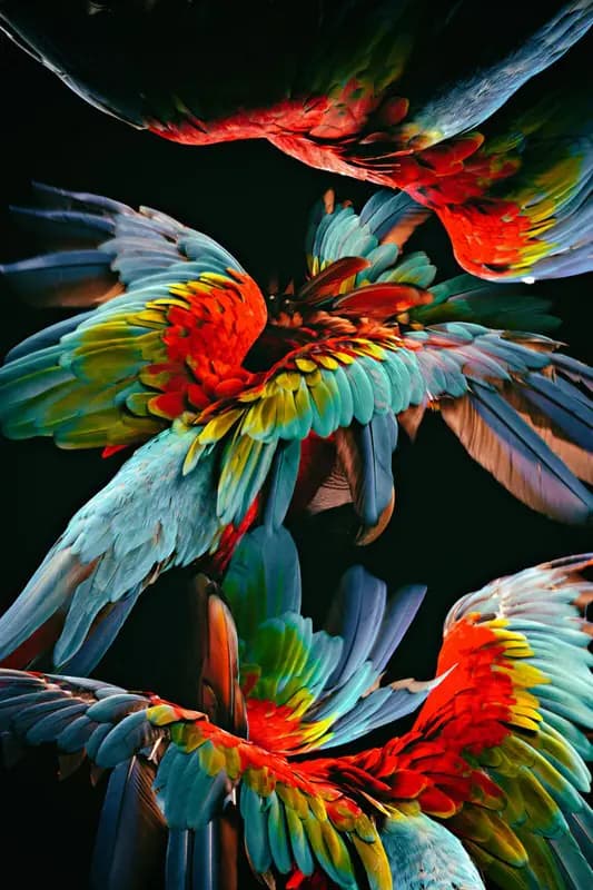 Photo by Julia Wimmerlin