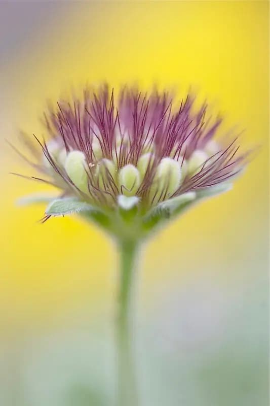 Photo by Catherine Lewis