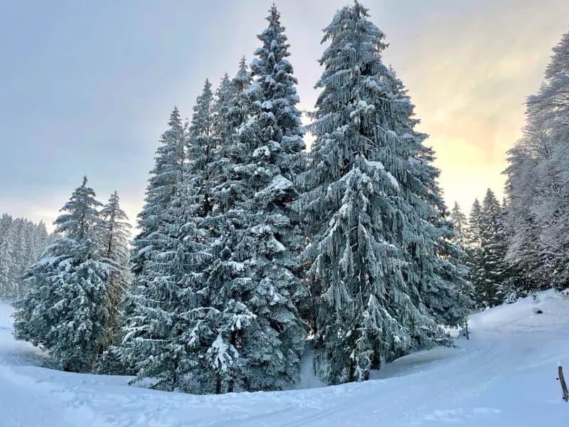 Photo by Catherine Lewis