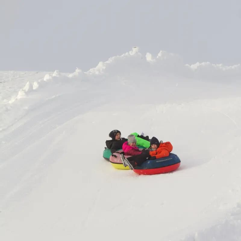 Photo by Catherine Lewis