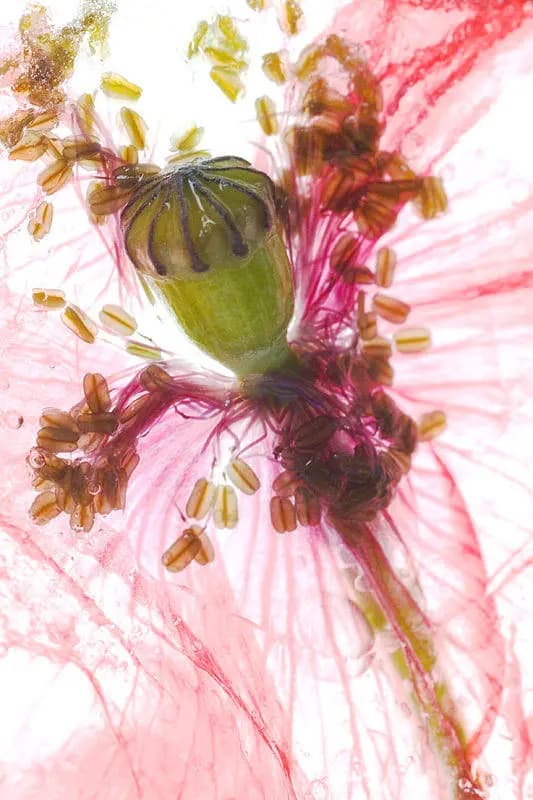 Photo by Catherine Lewis