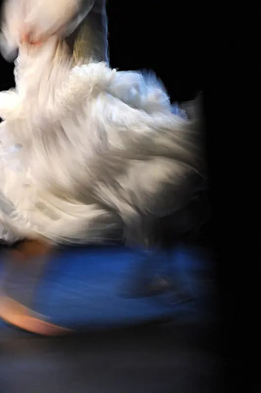 Photo by Sonia Villegas