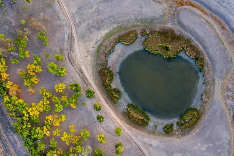 Photo by Francesco Pennacchio