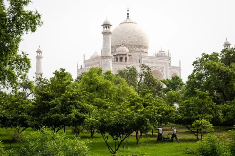 Photo by Francesco Pennacchio