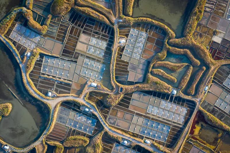 Photo by Francesco Pennacchio