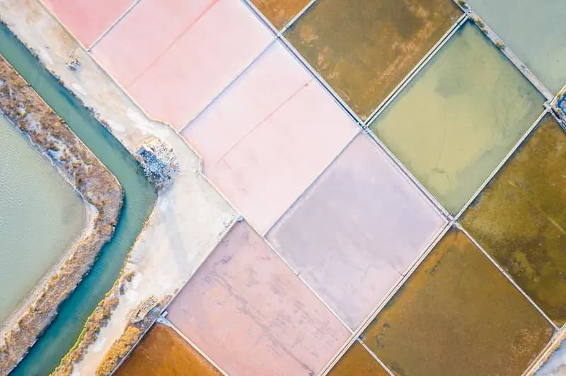 Photo by Francesco Pennacchio