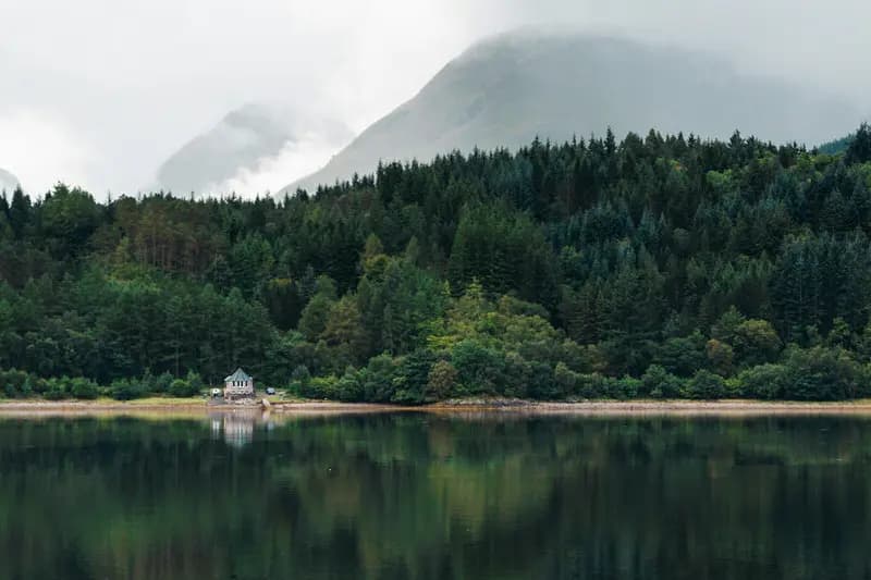 Photo by Francesco Pennacchio