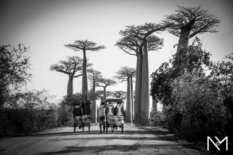 Photo by Niels Menko