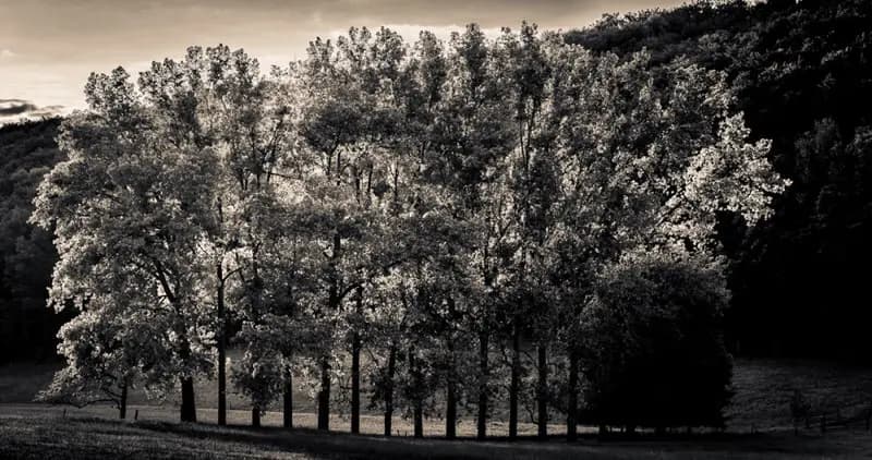 Photo by Duilio A. Martins