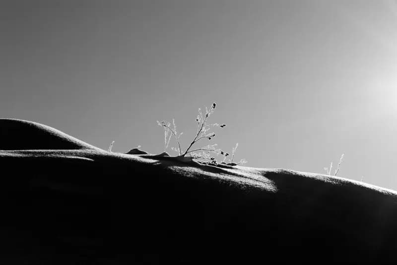 Photo by Duilio A. Martins