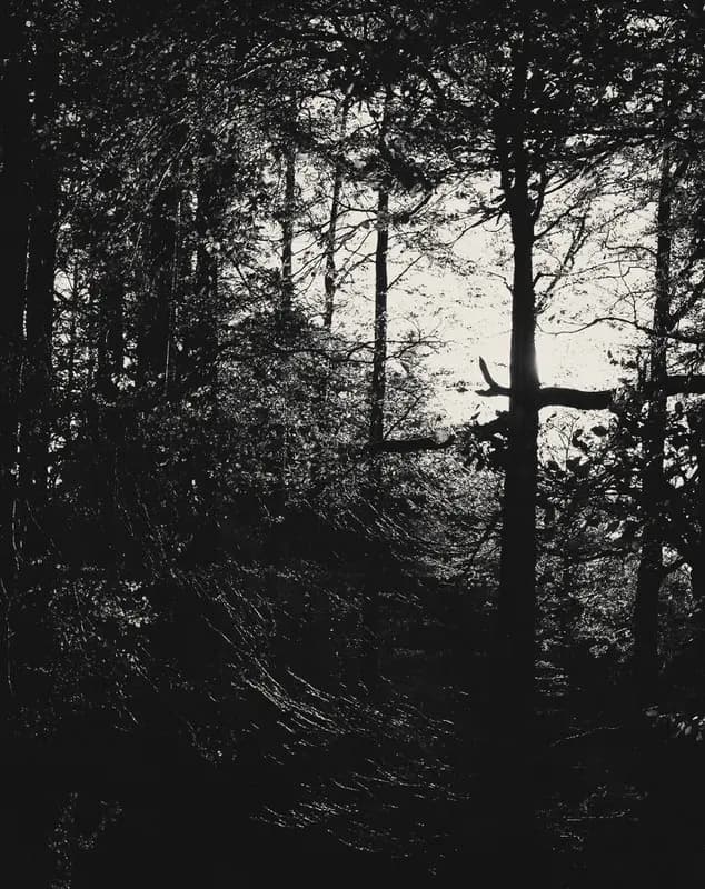 Photo by Duilio A. Martins