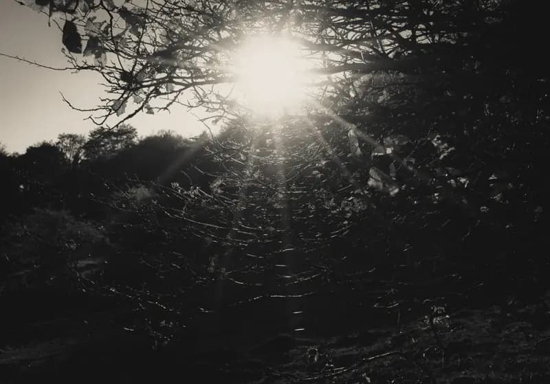 Photo by Duilio A. Martins