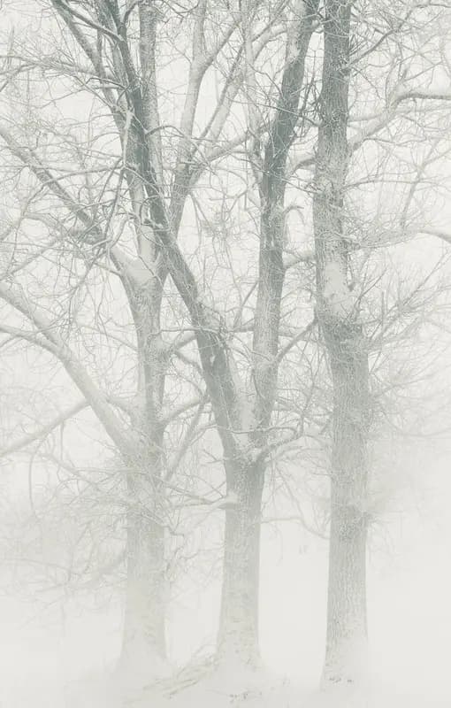 Photo by Duilio A. Martins