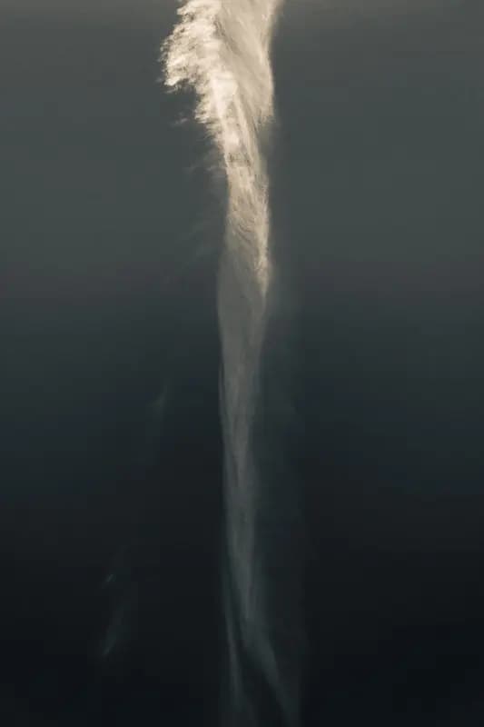 Photo by Duilio A. Martins