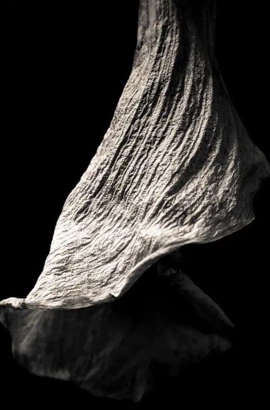 Photo by Duilio A. Martins