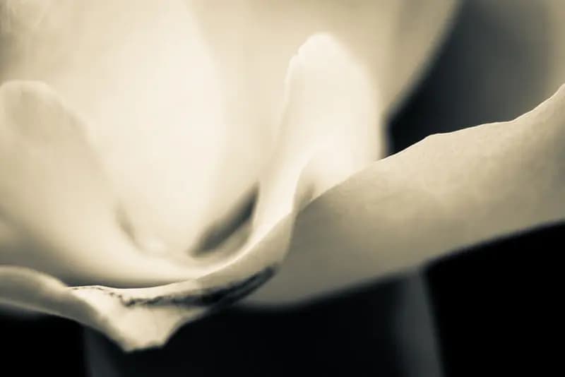 Photo by Duilio A. Martins