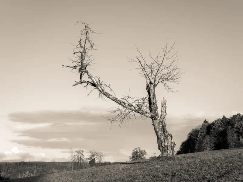 Photo by Duilio A. Martins