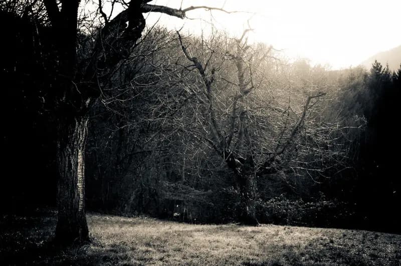 Photo by Duilio A. Martins