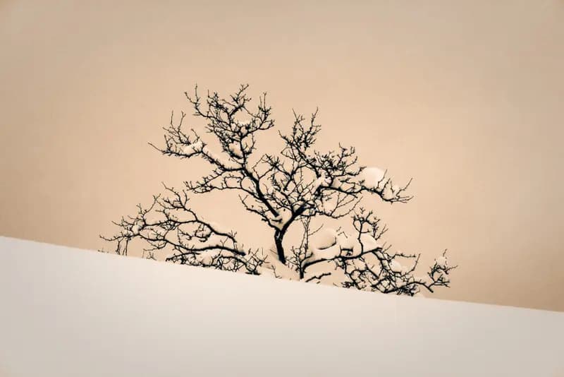 Photo by Duilio A. Martins