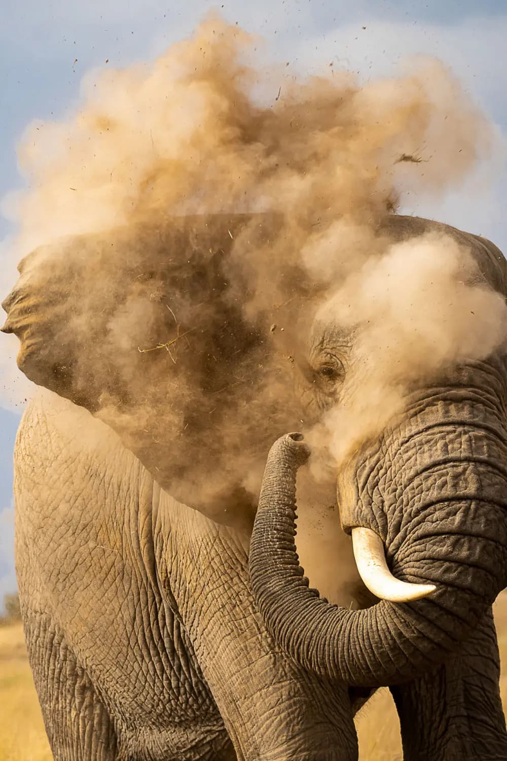 2 Prize Public Voting