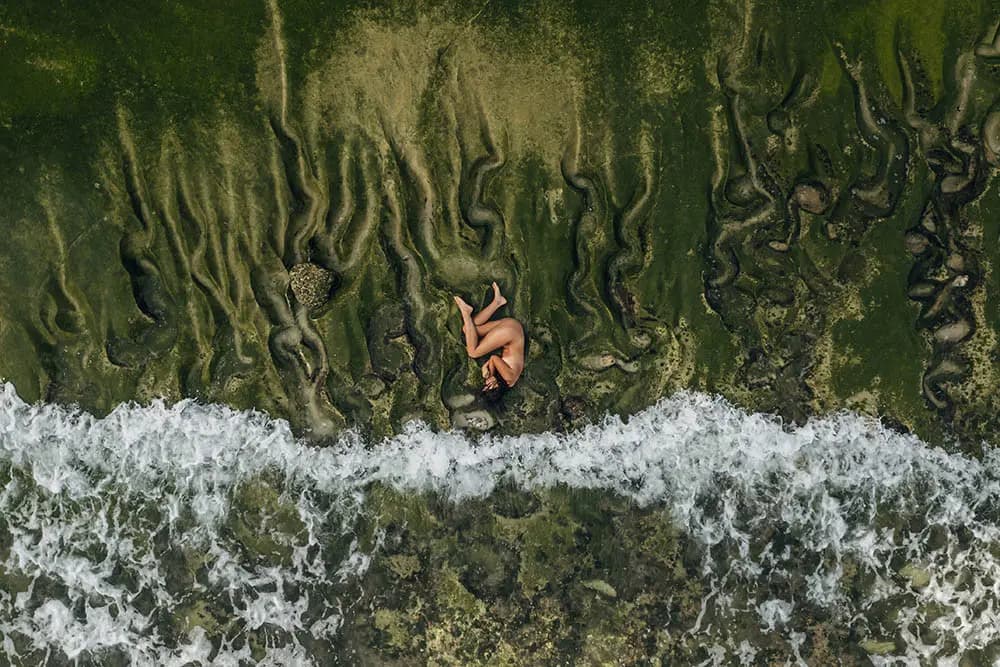 Vivien Wolf: Reconnection