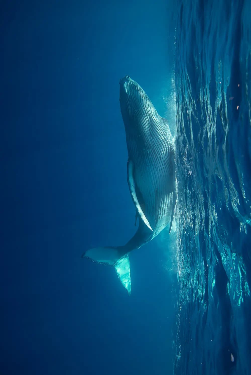 CHF1500.- SPC Photo Tour Gift Voucher