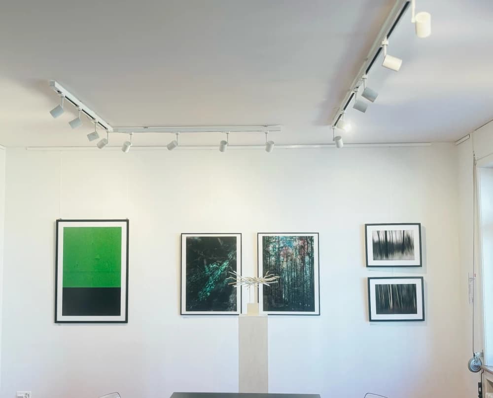Organising a Photography Exhibition